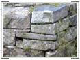 Drystone walling in Abinger