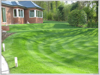 Mini grass amphitheatre in Clandon