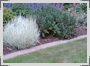 Click for a larger view
